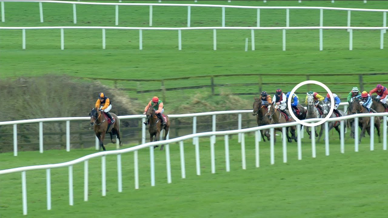 Young Dev comes from nowhere to land Punchestown prize in the final strides under Mark McDonagh