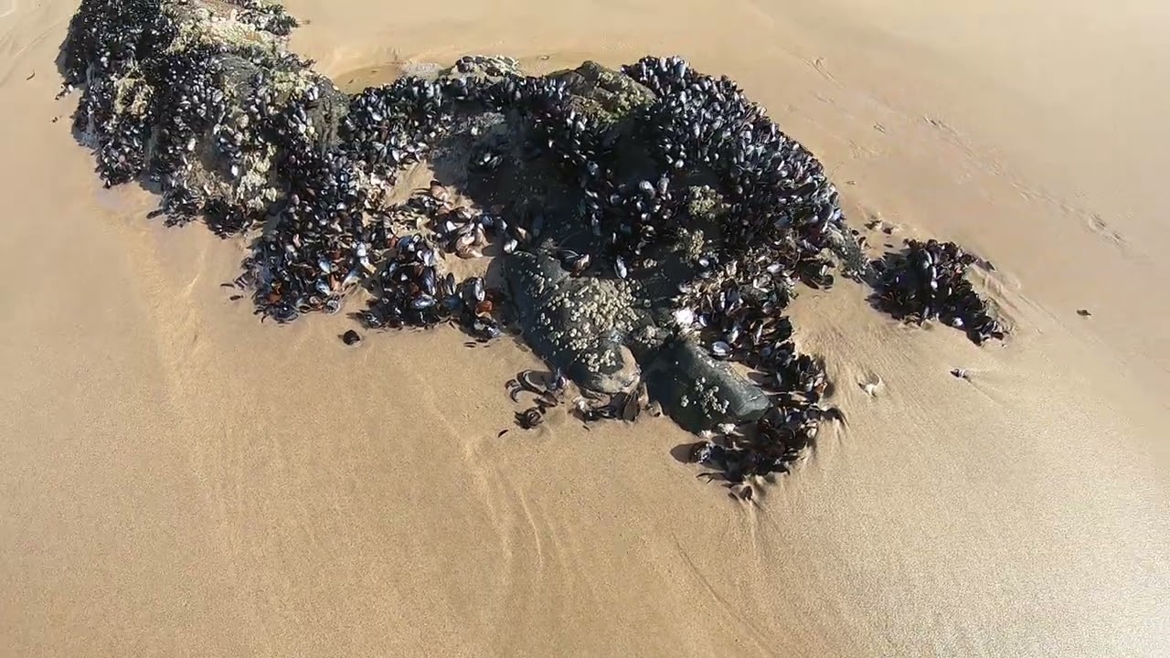 Arch Rock beach walk, Keurboomstrand, Garden Route South Africa