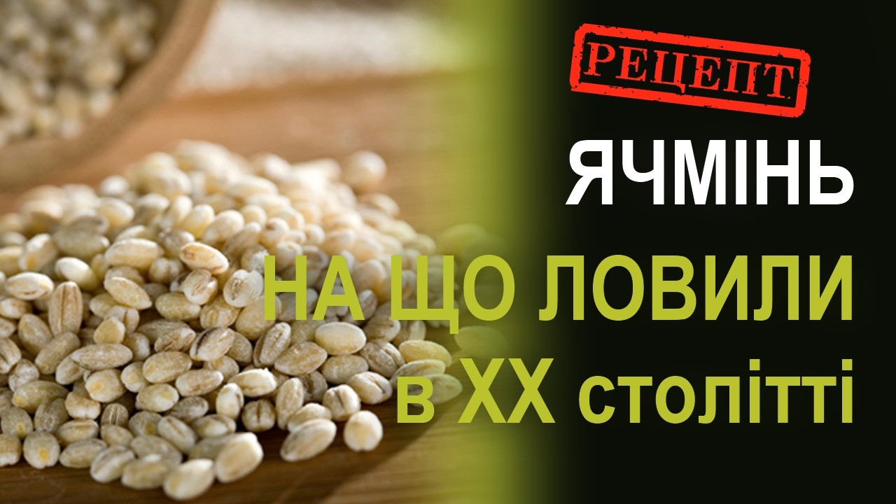 Ячмінь - насадка для рибалки | Як готують насадку англійські риболови
