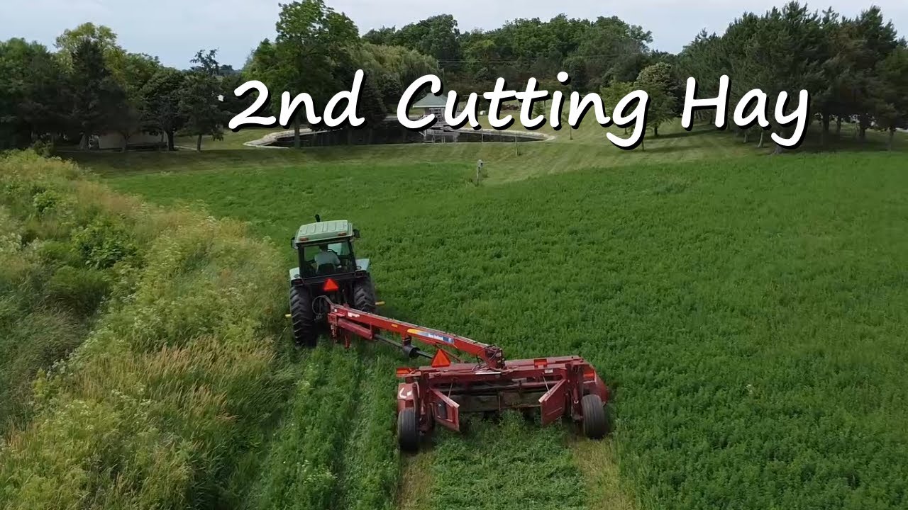 Second Cutting Hay 2025