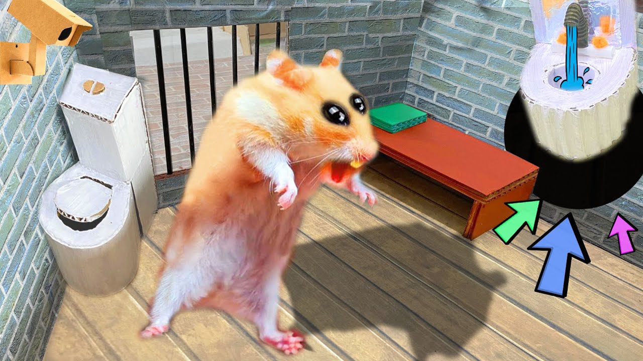 🐹Hamster escapes the awesome maze for Pets in real life 🐹 in Hamster stories P1