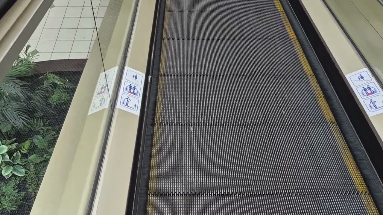 1992 Johns Perry/Boral Escalator | North City, Porirua