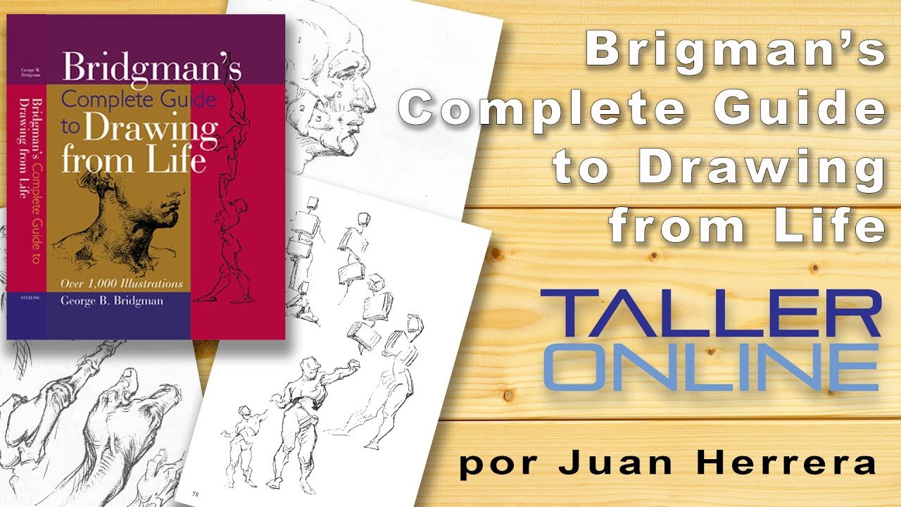 Review de Libros de Arte Bridgman´s Complete Guide to Drawing from Life Anatomía Artística