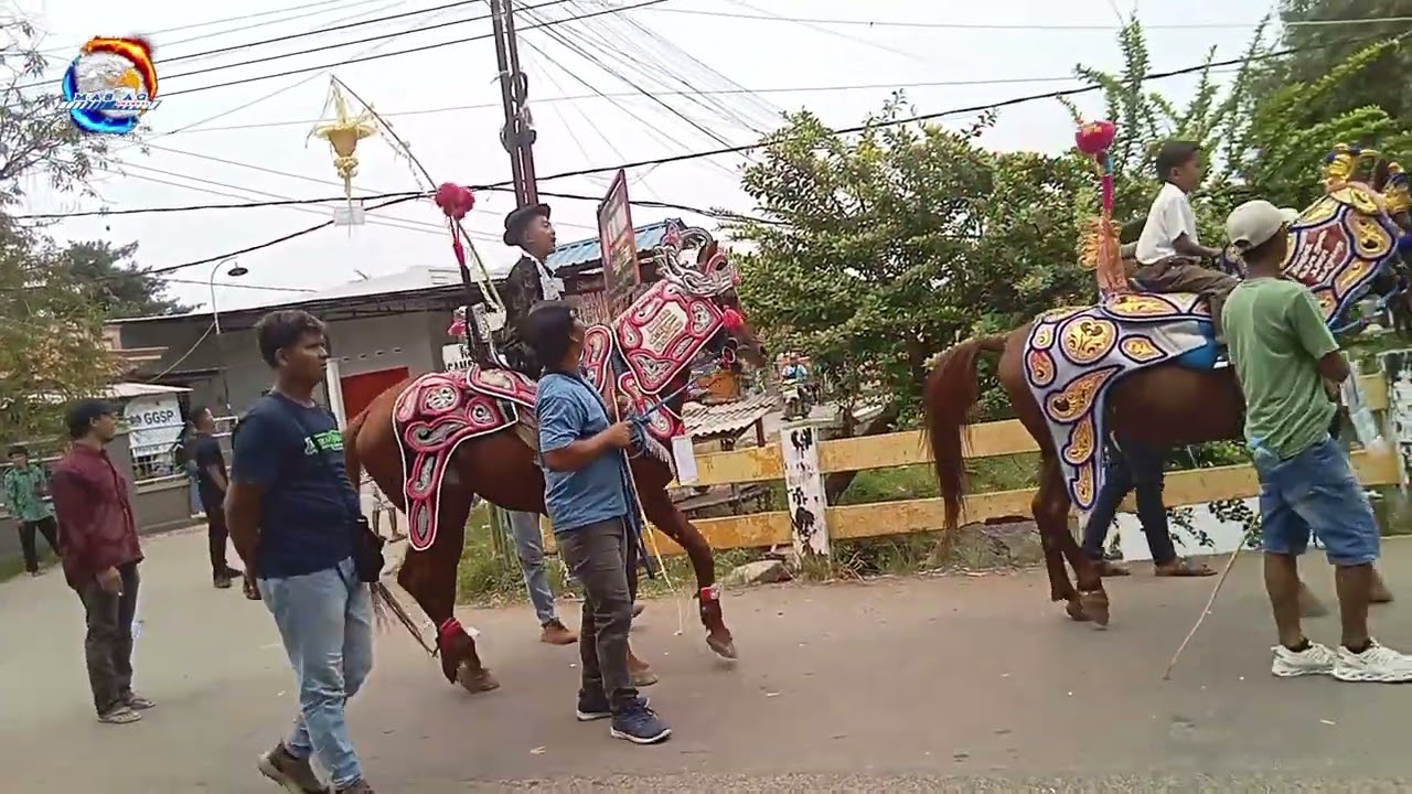 Buta buta nongol 👹 