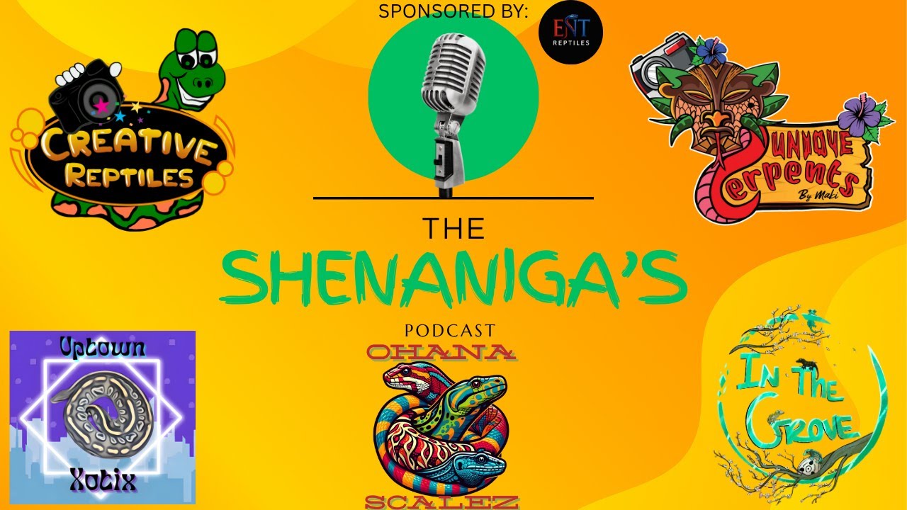 Shenaniga's Podcast Ep 17: BOUGIE DOGS & PUPPY BOWL