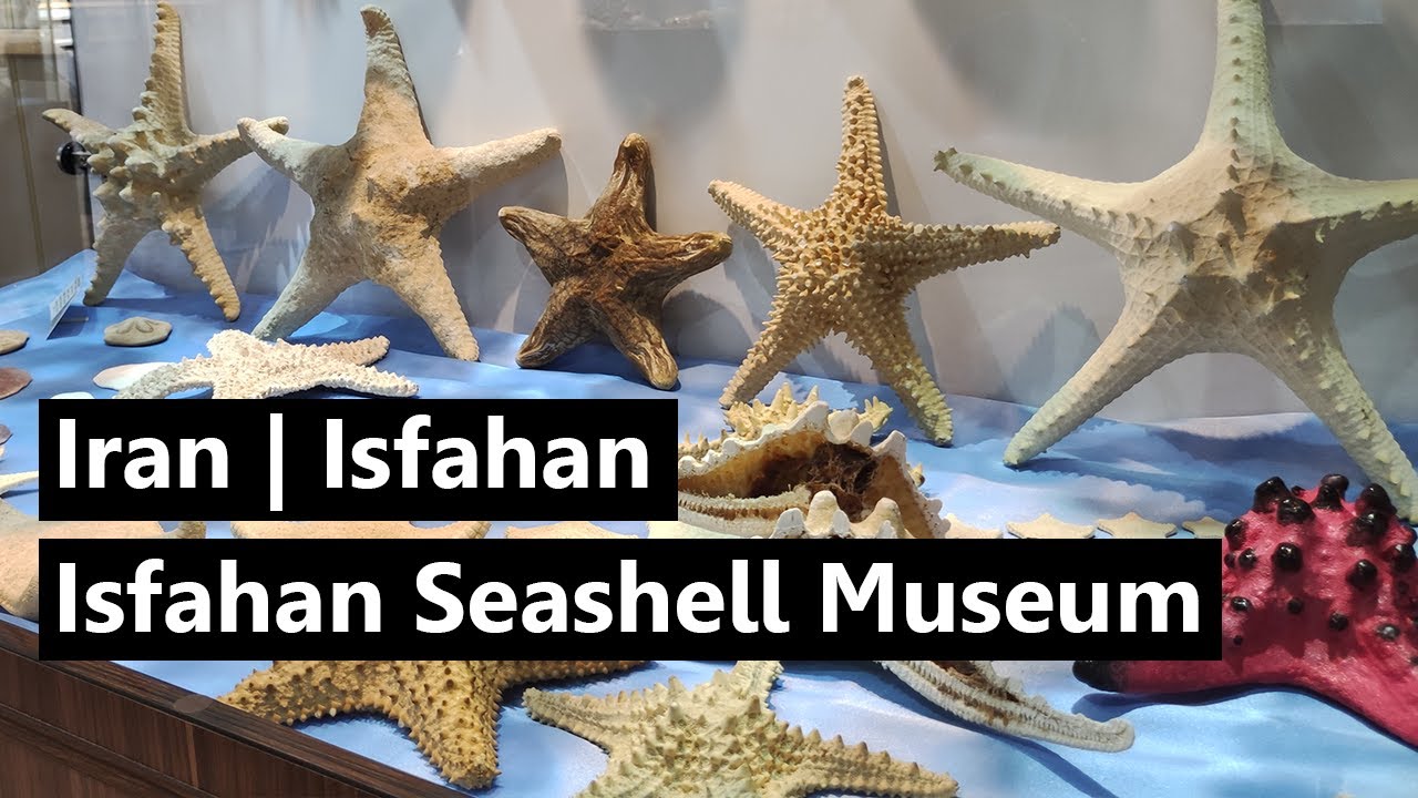 Walking On Isfahan | Isfahan Seashell Museum 😍😍😍