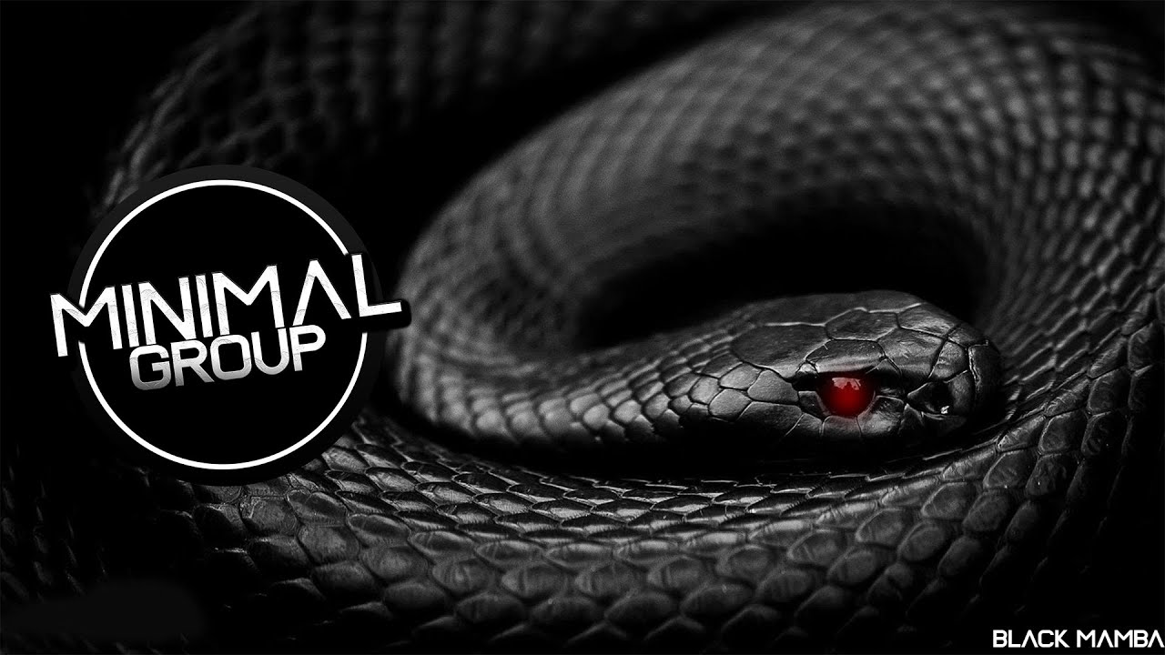 Dark Minimal Techno 2022 Mix - Black Mamba [MINIMAL GROUP]