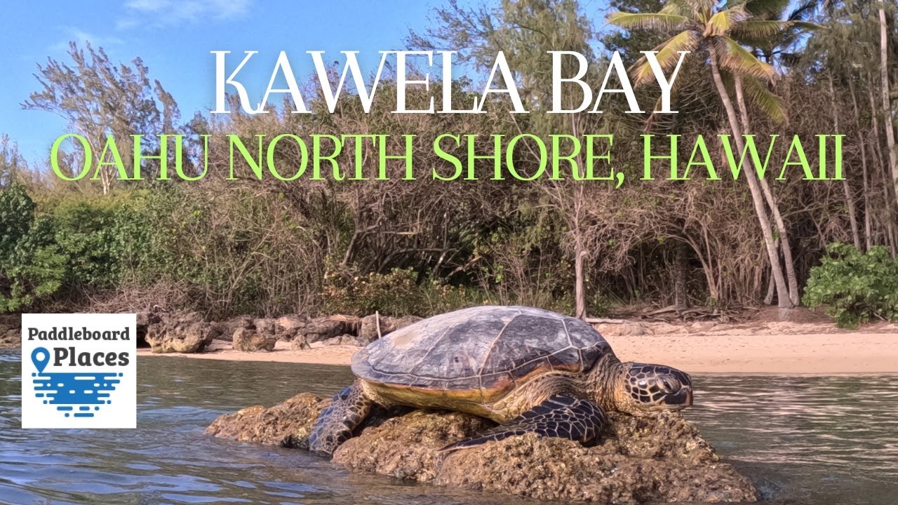 Kawela Bay Hawaii Paddle Boarding