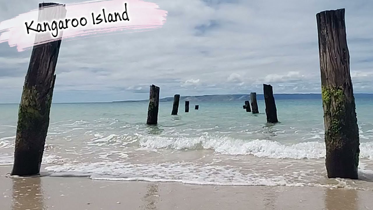 E108 - Kangaroo Island South Australia, Rush for Safe Anchorage