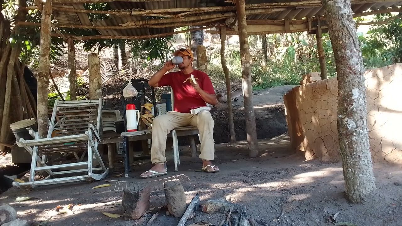 10 de fevereiro de 2026