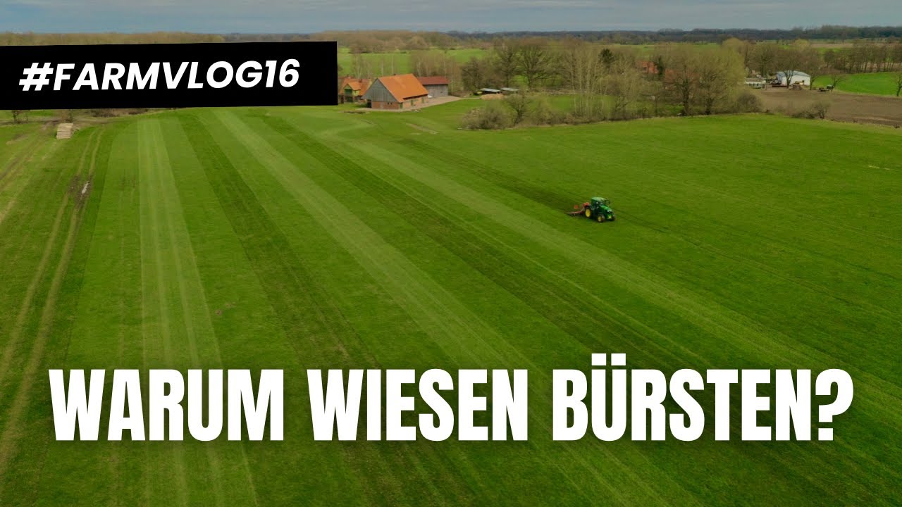 Ich schleppe EUCH ab! Wiesen striegeln // FARMVLOG 16