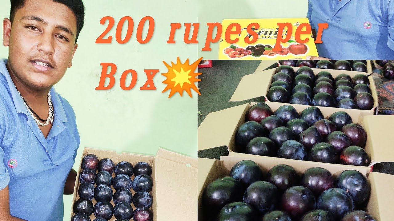 black amber plum variety ready to market black mamba ne machaya dhamal 200 rupees, 🙏🙏💥💥💥☺️