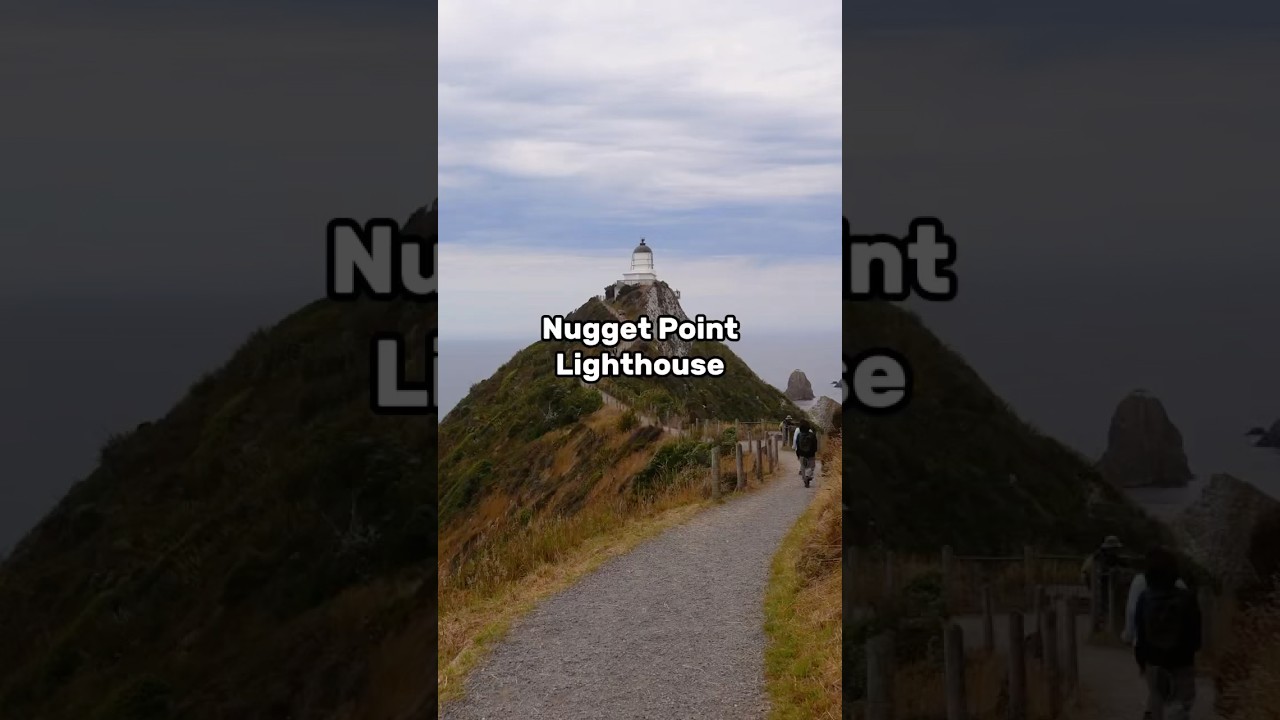 📍 Nugget Point, Kaka Point, New Zealand #lighthouse #nuggetpoint #beach #newzealand #frankieroams