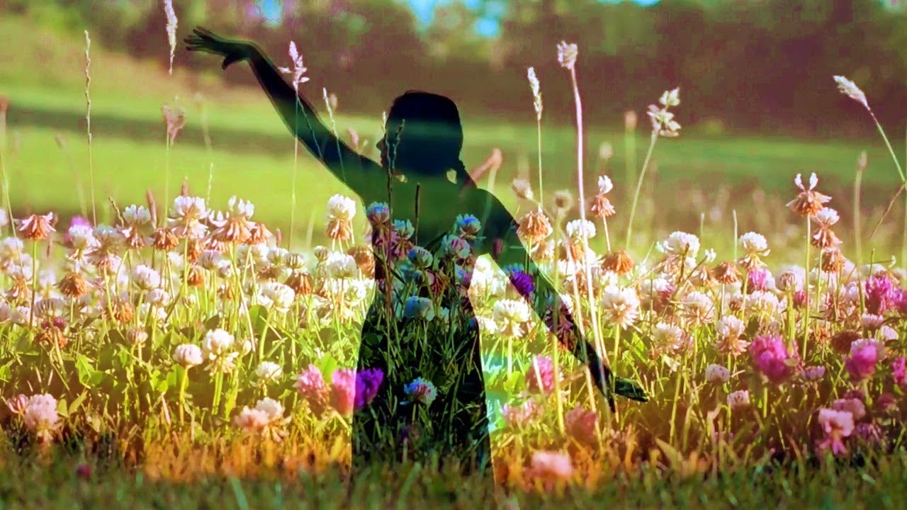 BREEZE DANCE (Szellőt&aacute;nc)