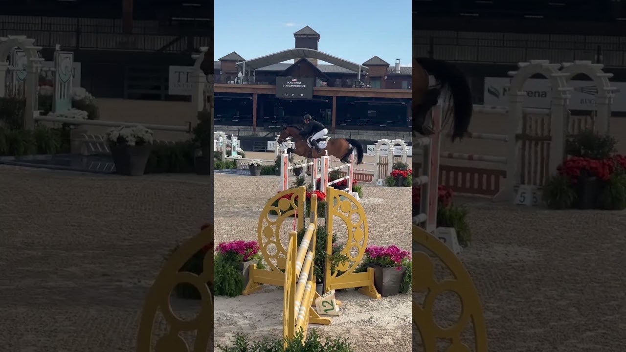 Quintessence - 1st CSI2* 1.45m Speed Class
