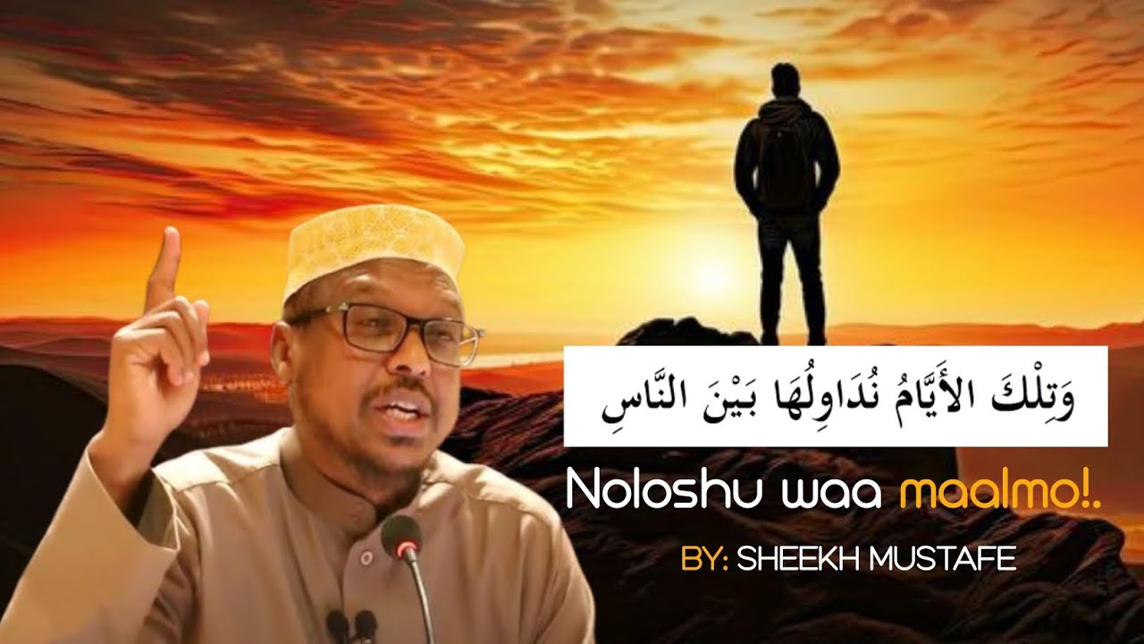 Hadal Noloshada bedeli doono #sheekhmustafe #Nolosha #isbedel #waano @Fiidowqiso 