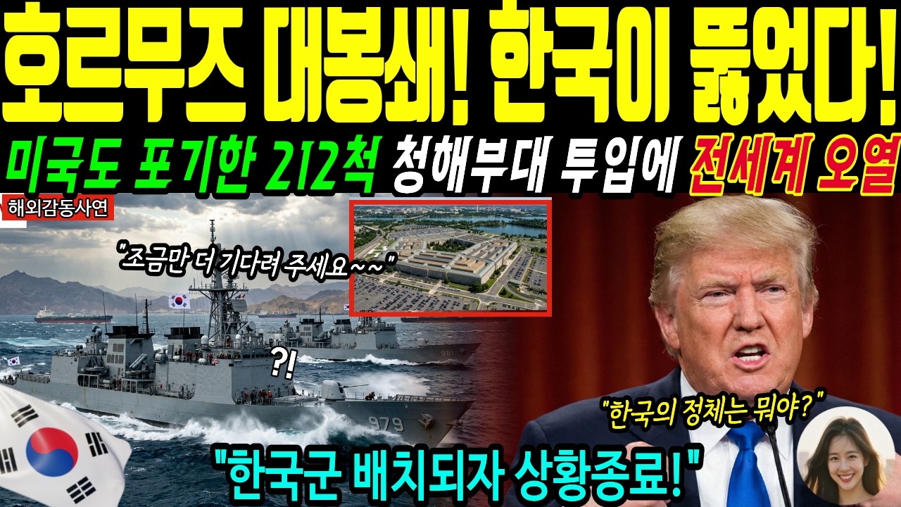 [해외감동사연] 호르무즈 해협 평정한 한국 청해부대! 미군도 포기한 212척 전원구조 기적에 전세계 오열
