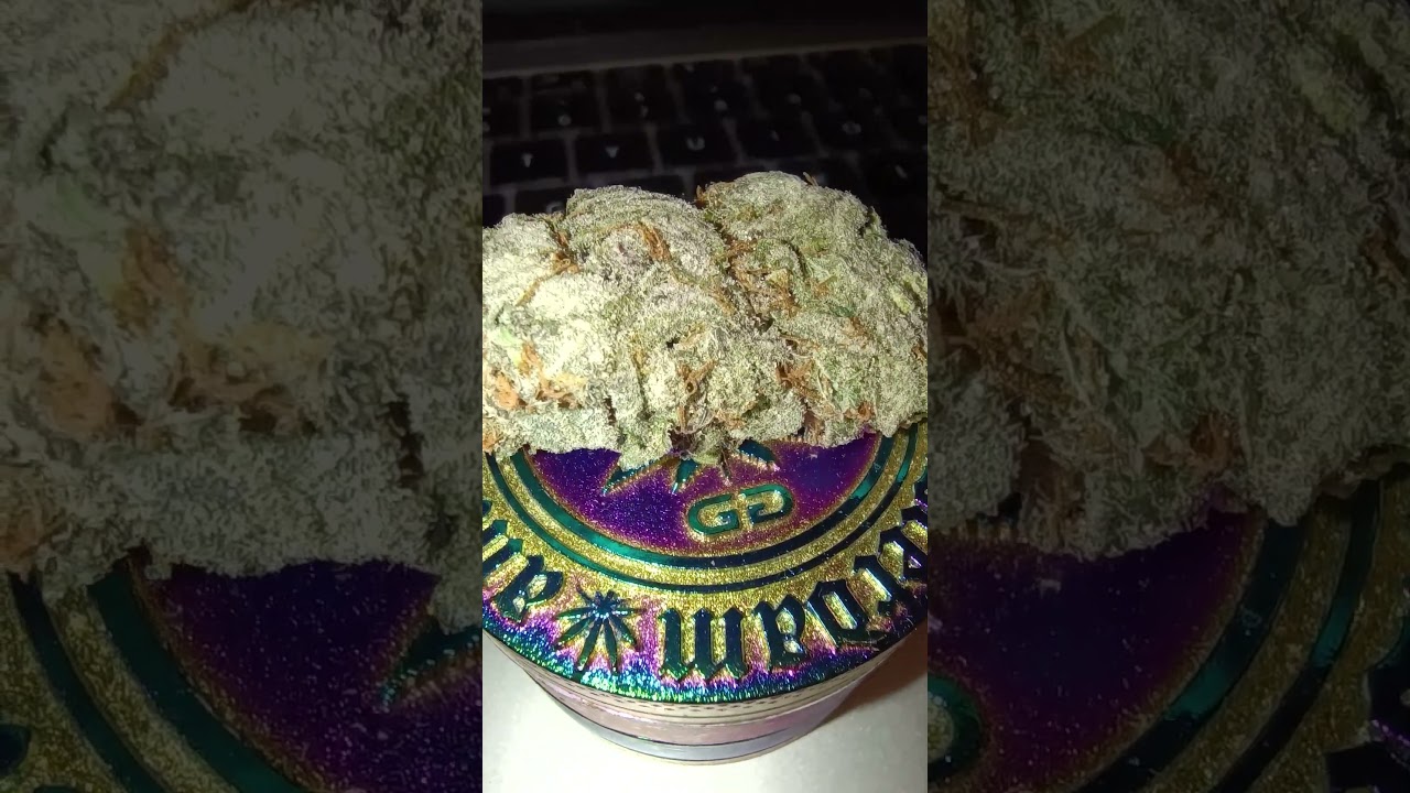 Purple Sunset RBX2 - ETHOS GENETICS