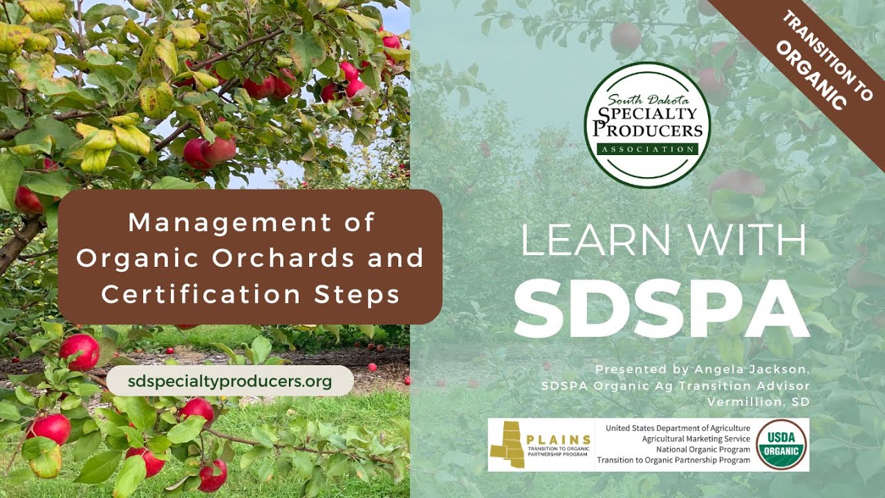Management of Organic Orchards and Certification Steps