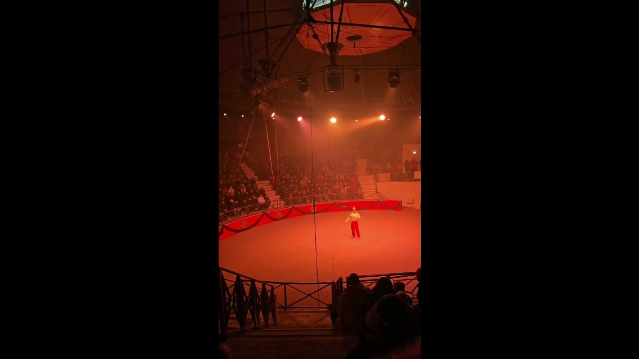 Noël gaulois au parc Astérix 2024 (partie 2)