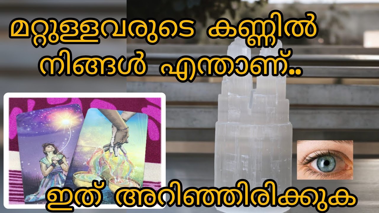 മറ്റുള്ളവരുടെ കണ്ണിൽ നിങ്ങൾ എന്താണ് .. സൂക്ഷിക്കുക.. #curentfeelings #tarot