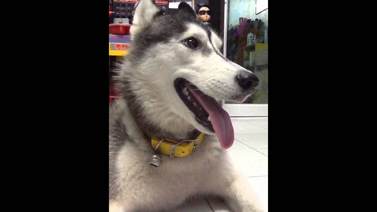 Jenny Ep1 ตอน อย่ายุ่งกับของหนู