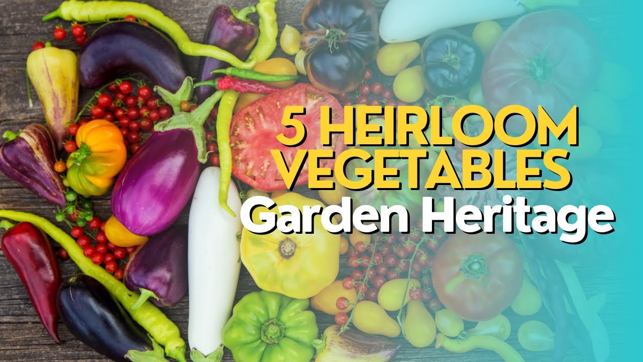 Top 5 Heirloom Vegetables: Garden Heritage
