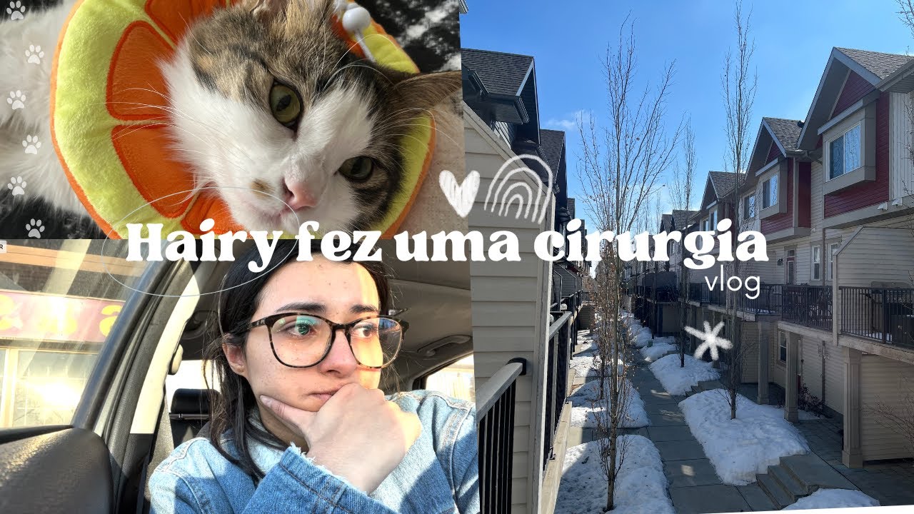 VLOG: Minha experiência com a cirurgia de quadril do meu gato