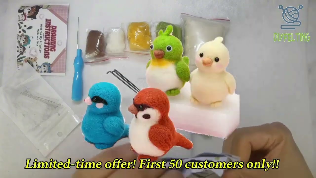 What's Inside the $9.9 Beginner Needle Felting Kit? - A Must - See Unboxing