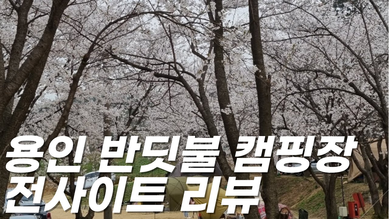 용인 반딧불 캠핑장 전사이트 리뷰ㅣ수도권 벚꽃캠의 성지