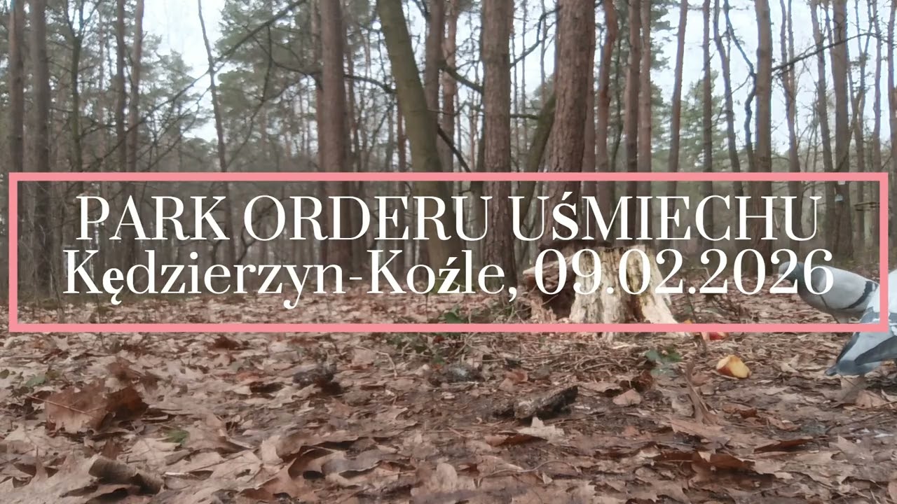 Park Orderu Uśmiechu w Kędzierzynie-Koźlu, 09.02.2026