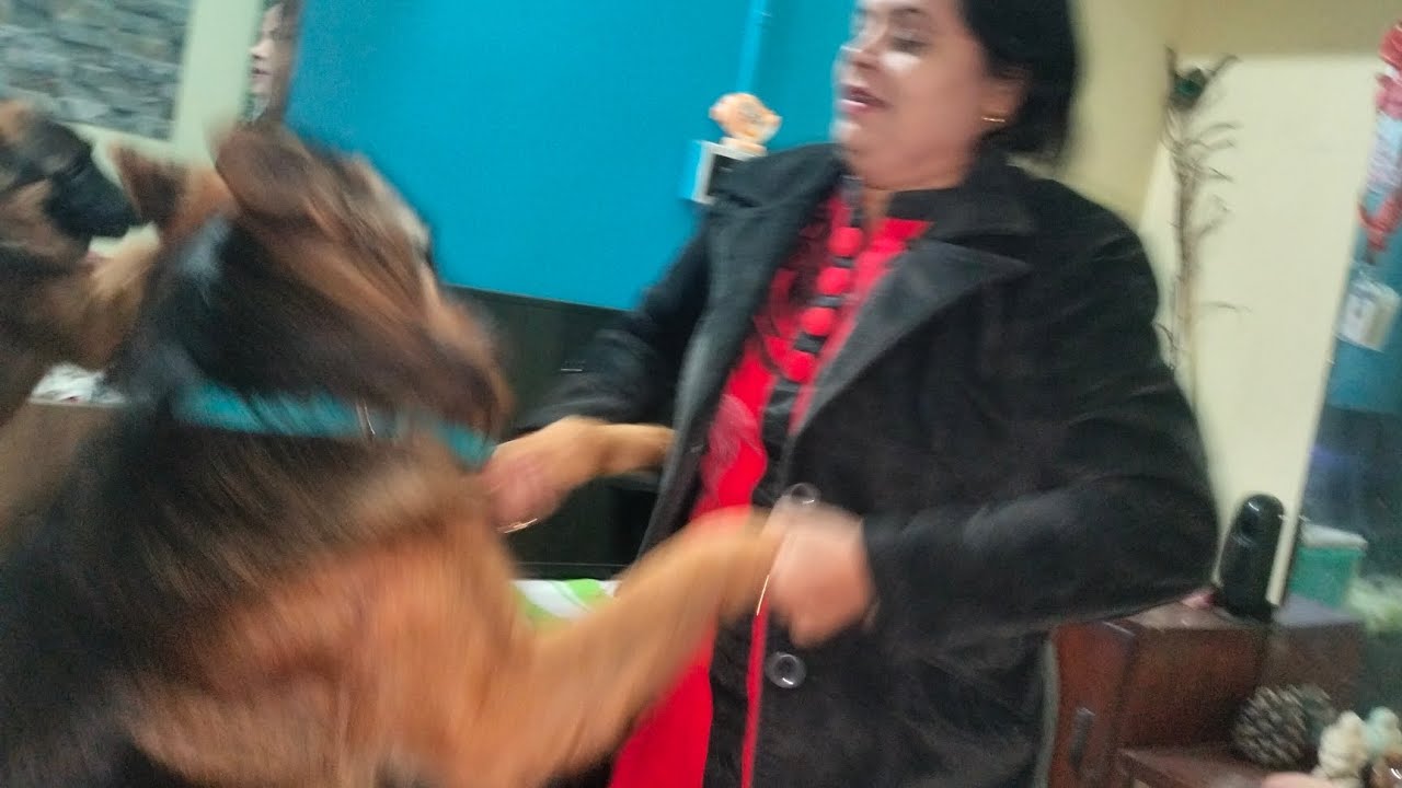 Maa amka marte ala ki kore rus dekho #viralvideo #song #minivlog #shortvideo @kidstvsongs @BONGsrk9 
