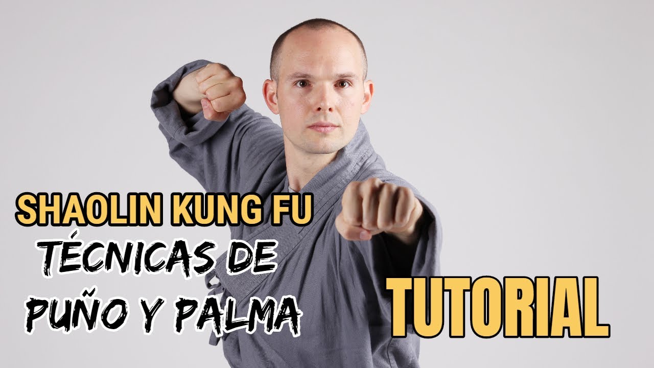 TÉCNICAS DE PUÑO Y PALMA | SHAOLIN KUNG FU | MAESTRO BRUNO TOMBOLATO