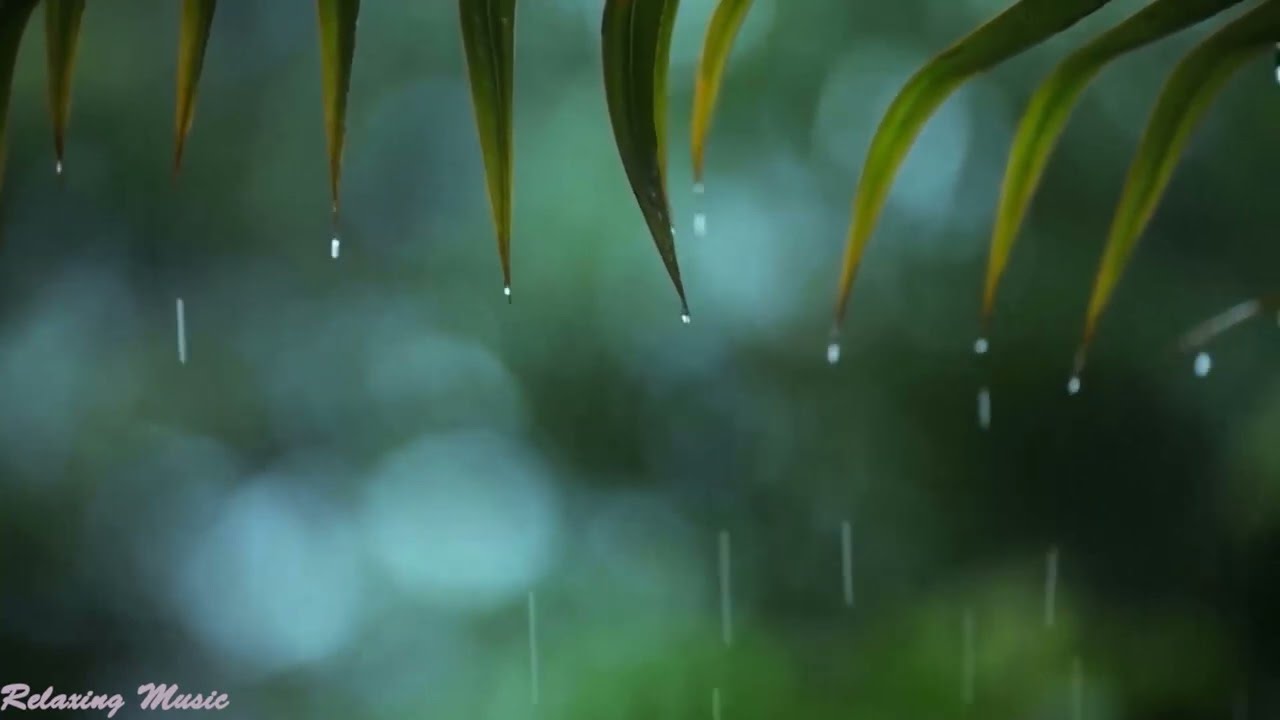 Relaxing Music & Rain Sounds - Calm Piano Music, Meditation Music, Relaxing Sleep Music