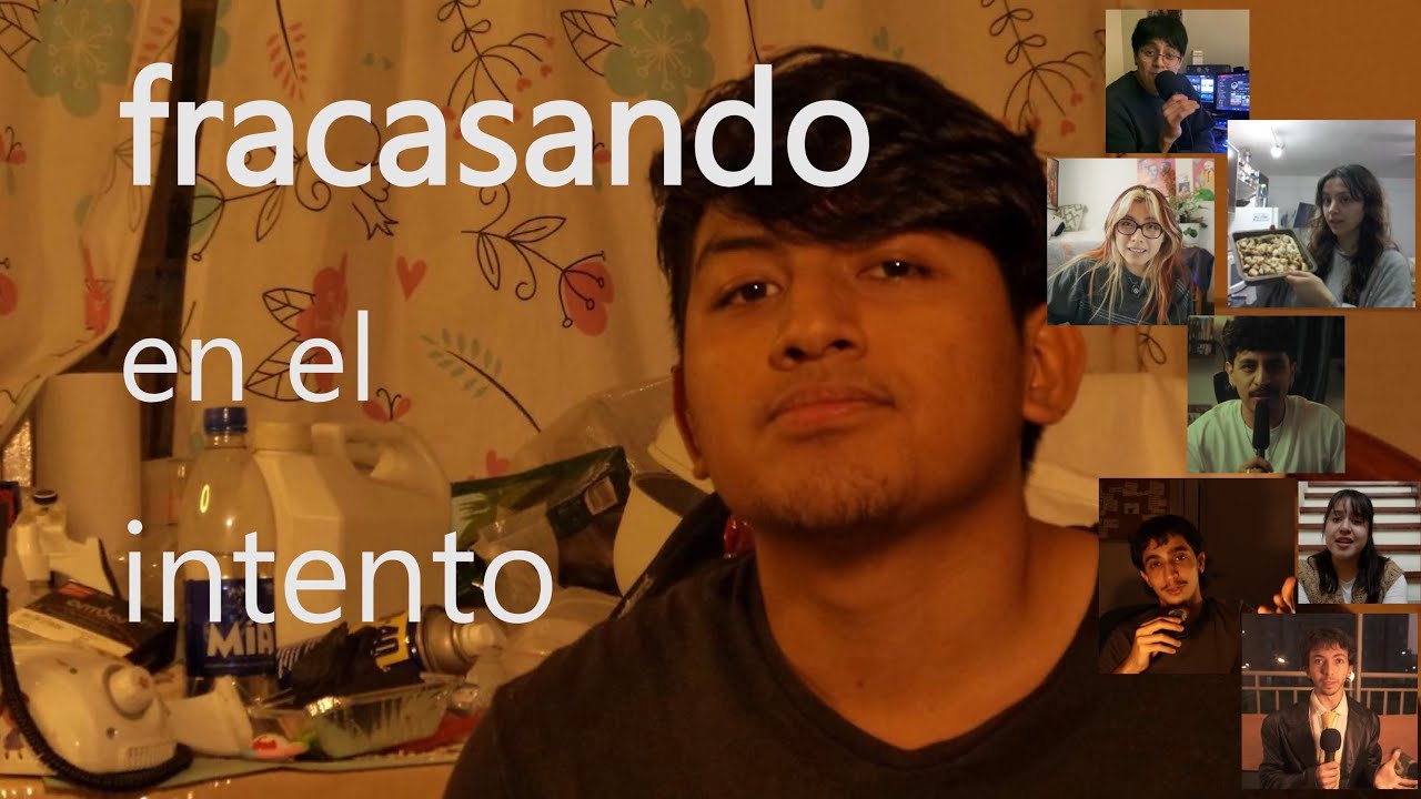 quise hacer un videodiario como ellos…