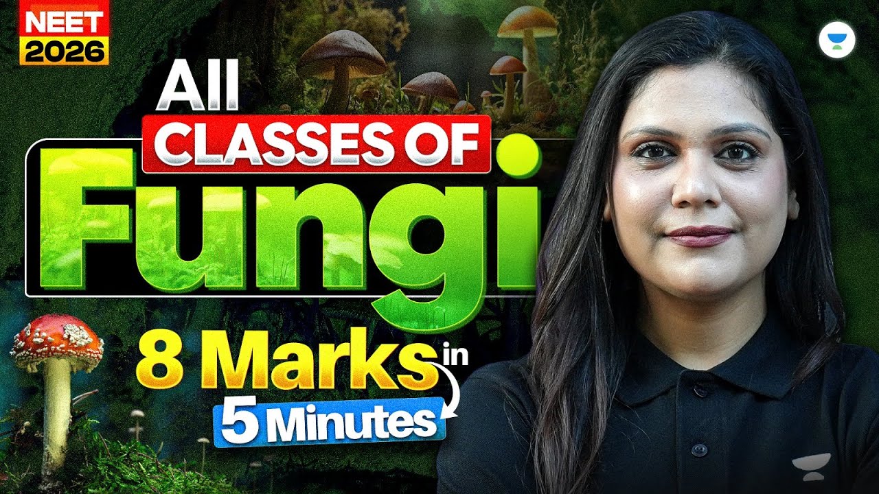 8 Marks in 5 Minutes All classes of fungi for NEET 2026