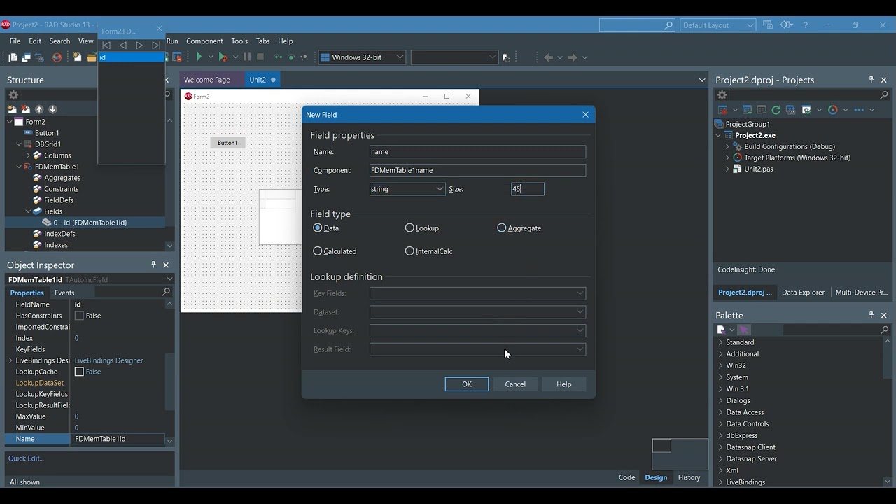 Delphi 13 how to Preview Report