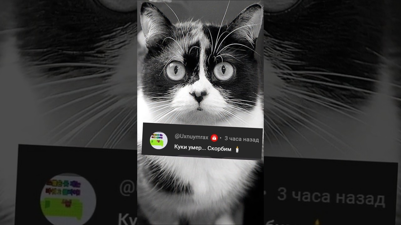 Куки умер?