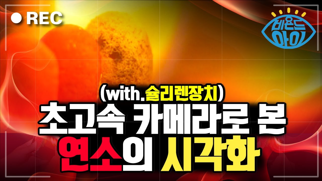 과학적 불멍 보여드립니다 👀🔥 [#비욘드아이컷] / YTN 사이언스