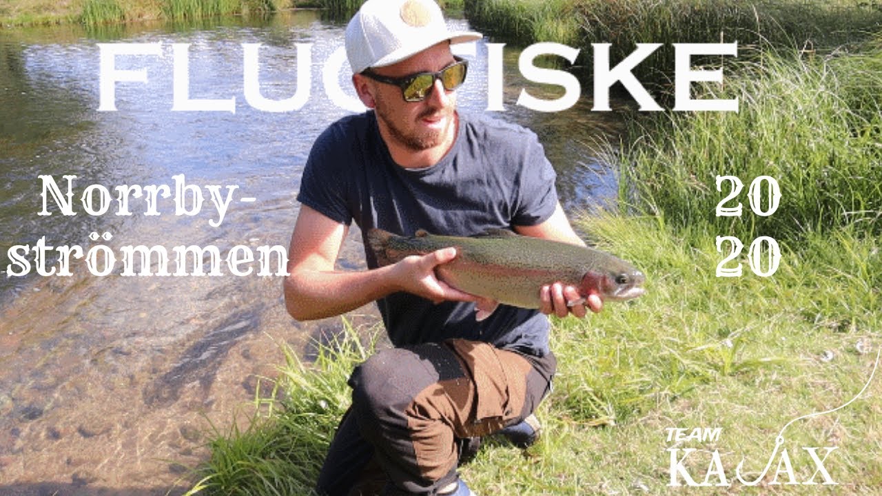 Regnbågsfiske på Sommaren | Team Kajax | Flugfiske 2020