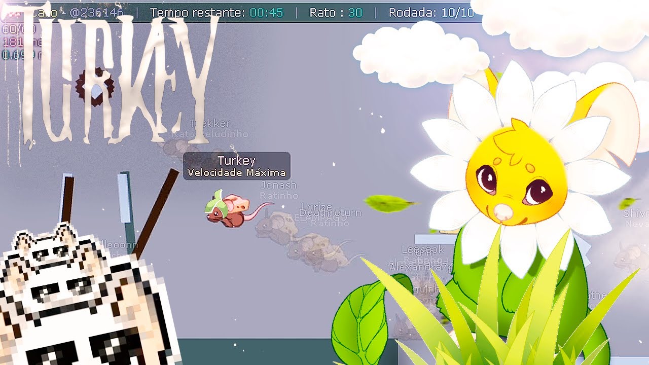 ⇾ Destroying 2025  RACING ROOMS - Transformice