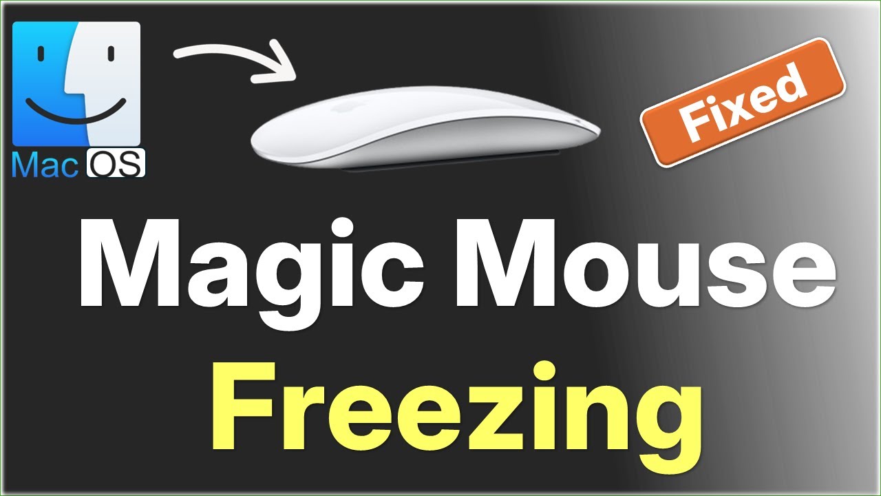 Magic Mouse Freezing : How to Fix