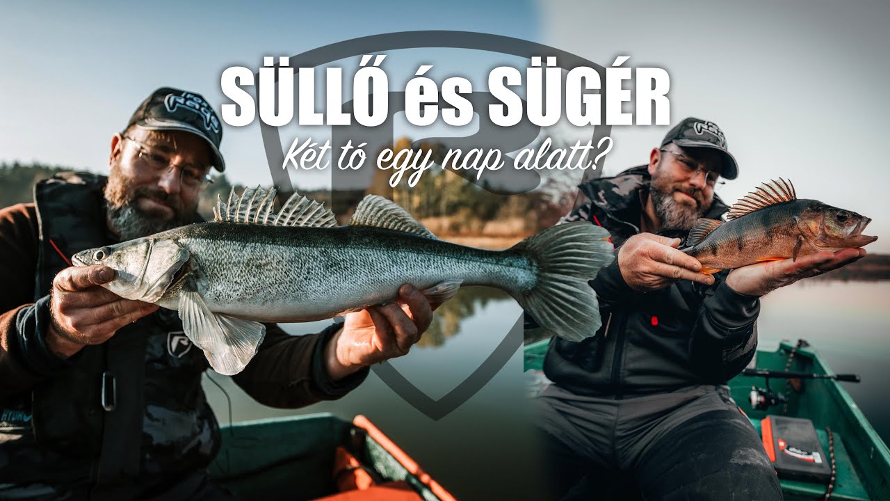 Késő őszi PERGETÉS - Célhal: SÜLLŐ és SÜGÉR