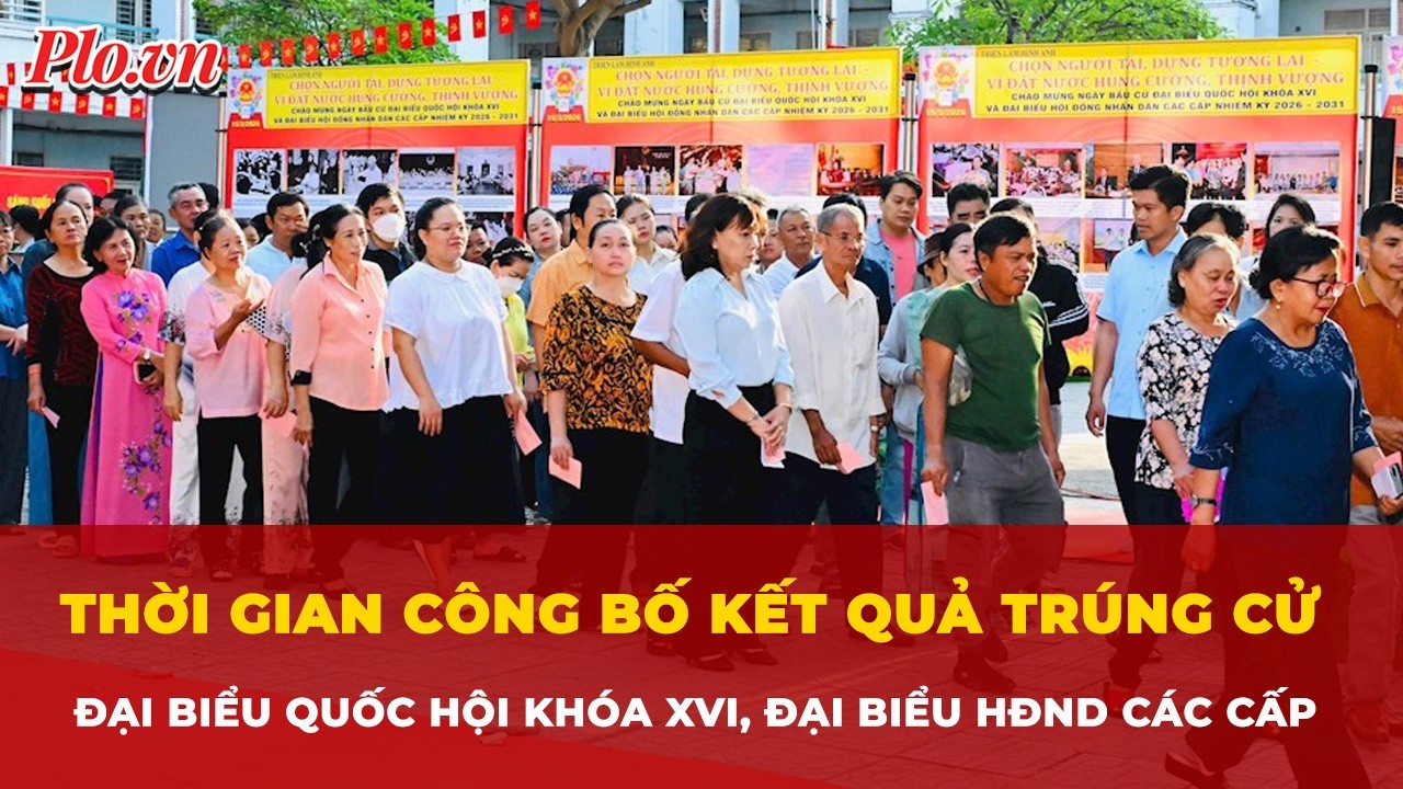 Thời gian công bố kết quả trúng cử đại biểu Quốc hội khóa XVI, đại biểu HĐND các cấp | Tin nhanh