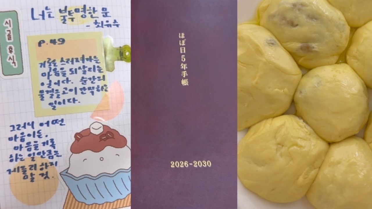 독서기록•5년 다이어리 근황 토크•짧은 호떡 영상
