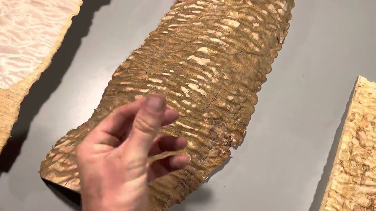 Quilted Maple 🍁 Many Figure Patterns
