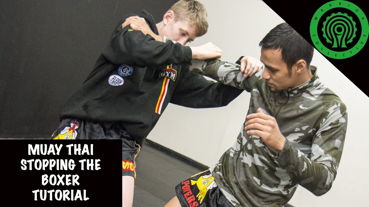 Muay Thai Stopping the Boxer Tutorial