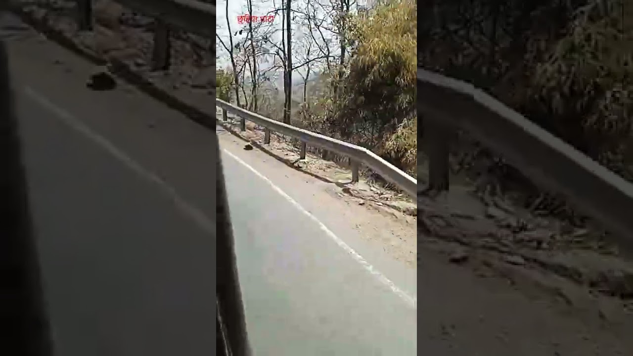 छुहिया घाटी Govindgarh Rewa Mp