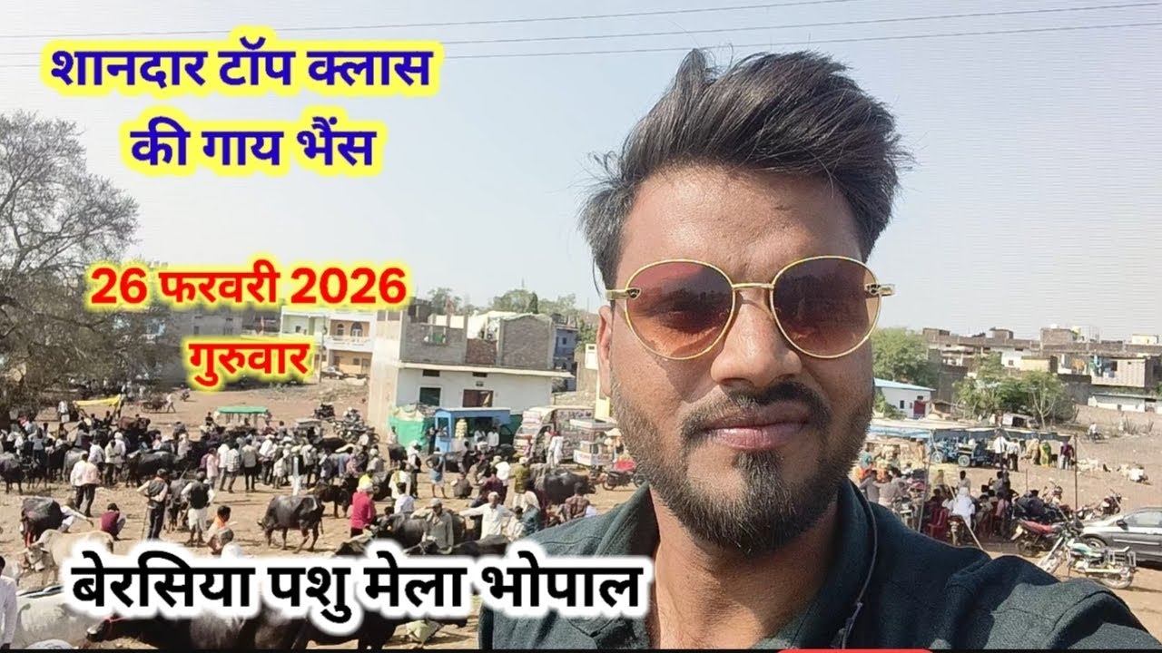 बैरसिया पशु मेला(बाजार)🐂🐃 शानदार टॉप क्लास की गाय भैंस ।। 26 फरवरी 2026 गुरुवार 
