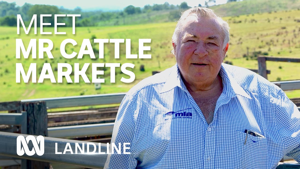 Reporting for Meat and Livestock Australia a passion for Queensland man Trevor Hess | ABC Landline
